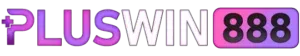 pluswin-1
